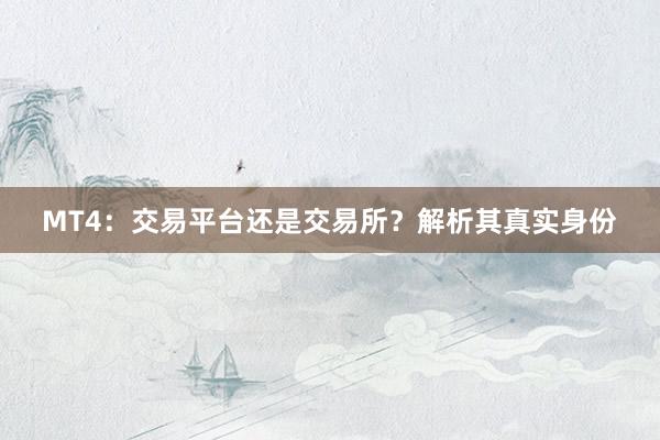 MT4：交易平台还是交易所？解析其真实身份