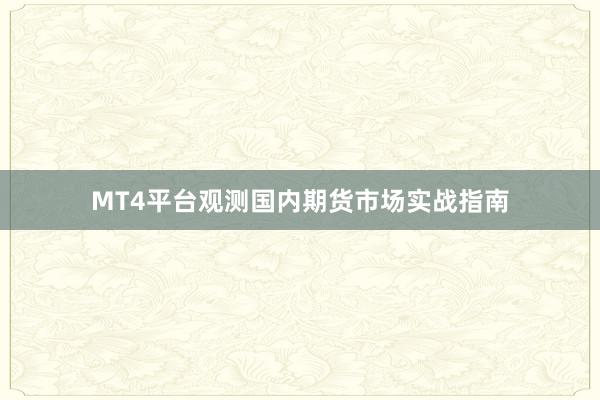 MT4平台观测国内期货市场实战指南