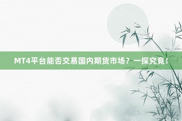 MT4平台能否交易国内期货市场？一探究竟！