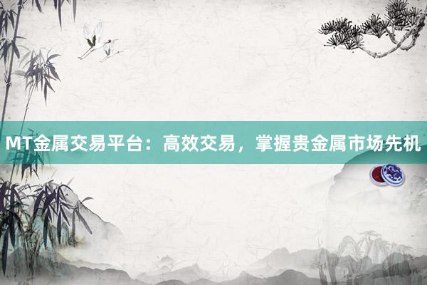 MT金属交易平台：高效交易，掌握贵金属市场先机